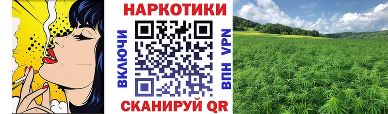 Магазины продажи наркотиков Светогорск Alpha-PVP  Меф мяу мяу  omg   Конопля  Cocaine  Гашиш 