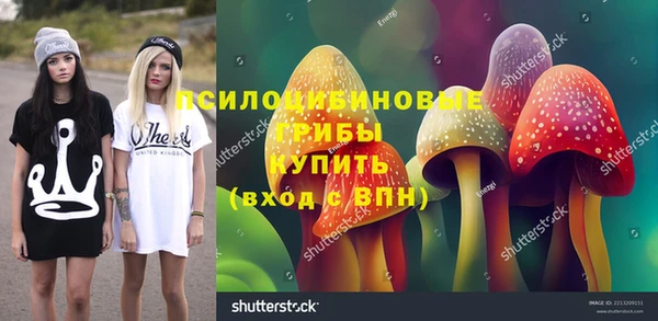 твердый Касимов